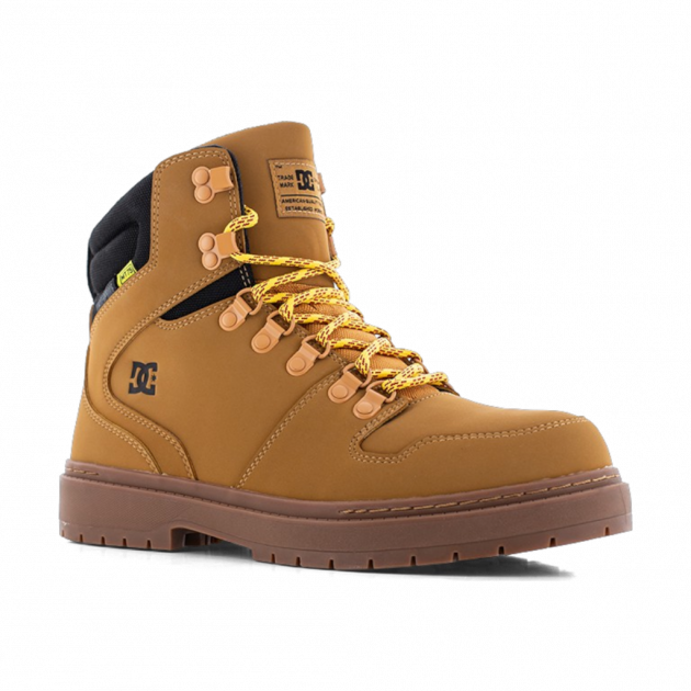 Peary TR Work - DC60901