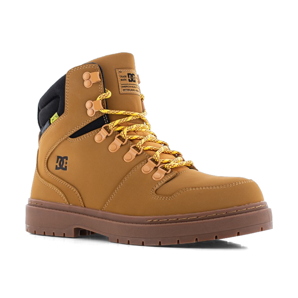 Peary TR Work - DC60901